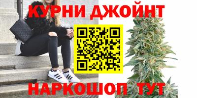 гидра Нальчик