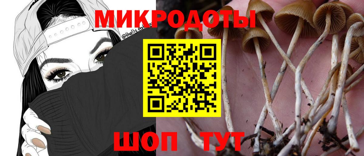 Тимашёвск  Галлюциногенные грибы Cubensis  Вход с VPN  наркошоп  Галлюциногенные грибы MAGIC MUSHROOMS 